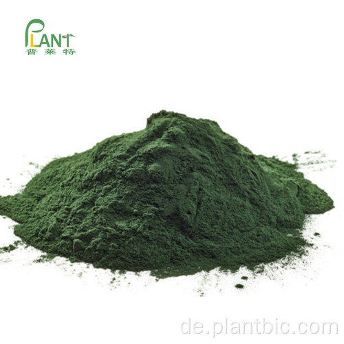 Reines Spirulina-Pulver in Bio-Lebensmittelqualität